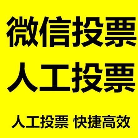 河源市投票活动拉票能被查出来吗？如何操作能不被发现？